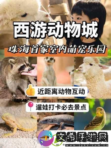 天谕手游探索指南