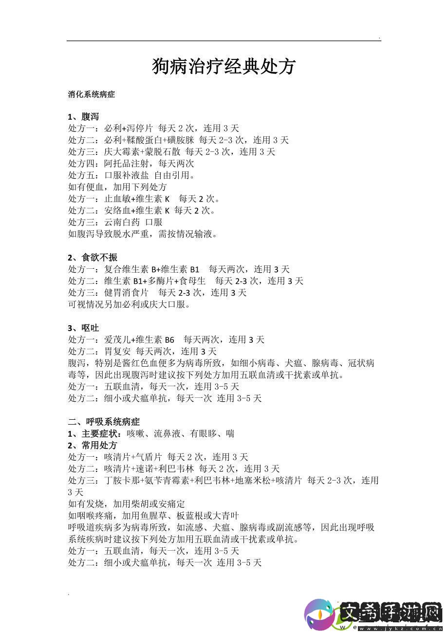 “人犬胶配方”狂潮：笑谈科技边缘的荒诞新秀