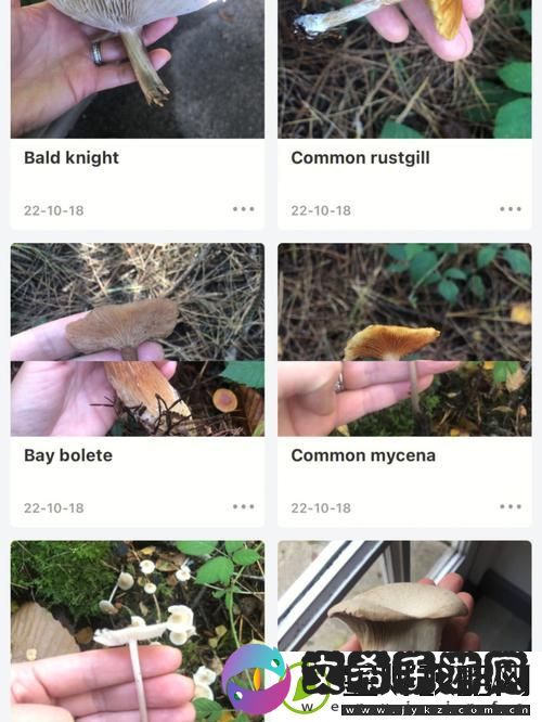 蘑菇成品人APP-友热议：潮流单品引发购物风潮