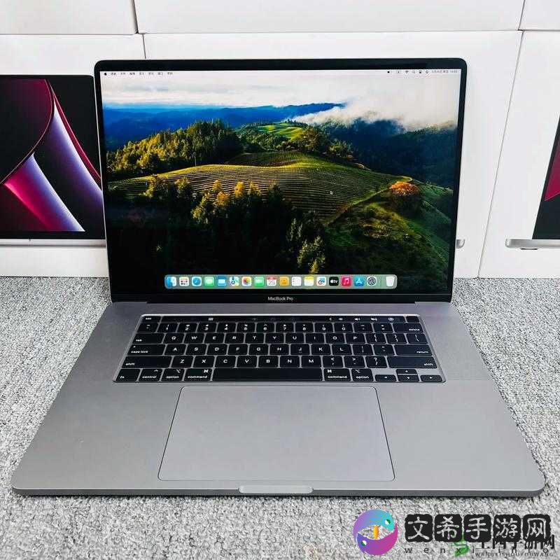 16 岁 macbookpro 日本成功发布新栏目:引发市场关注