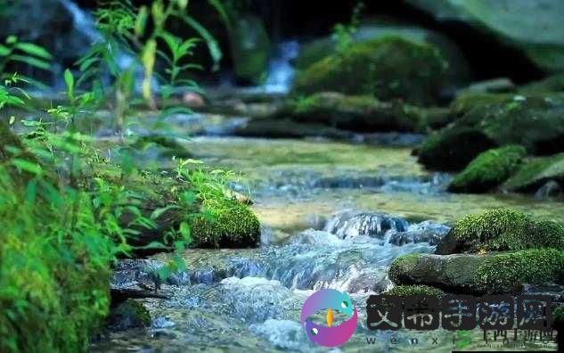 爹爹黄龙直捣溪水潺潺:绝美自然景观探秘