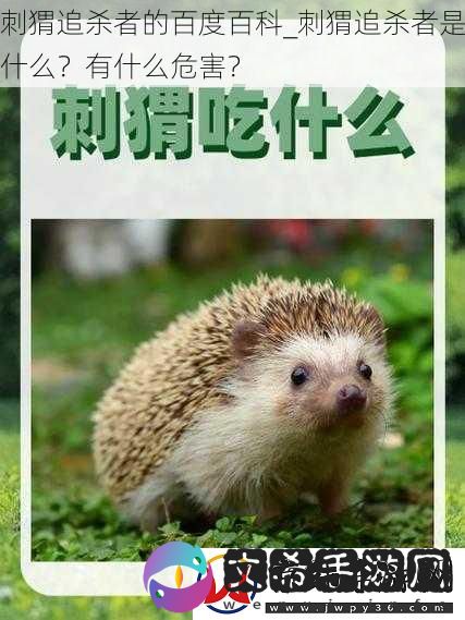 刺猬追杀者的百度百科