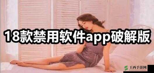 免费夜里 18 款禁用软件大全免费:深夜必备神器