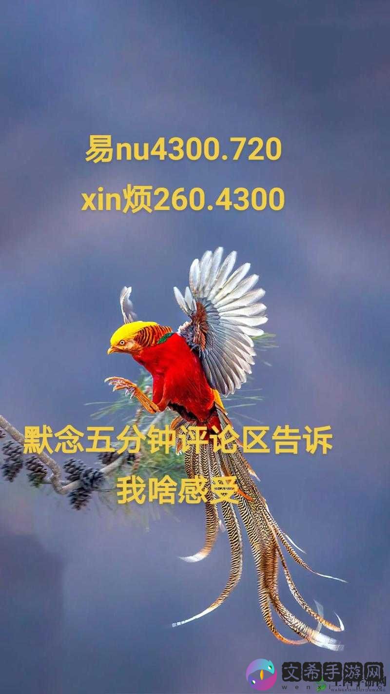 坤放定眼免费高清:畅享高清视觉盛宴