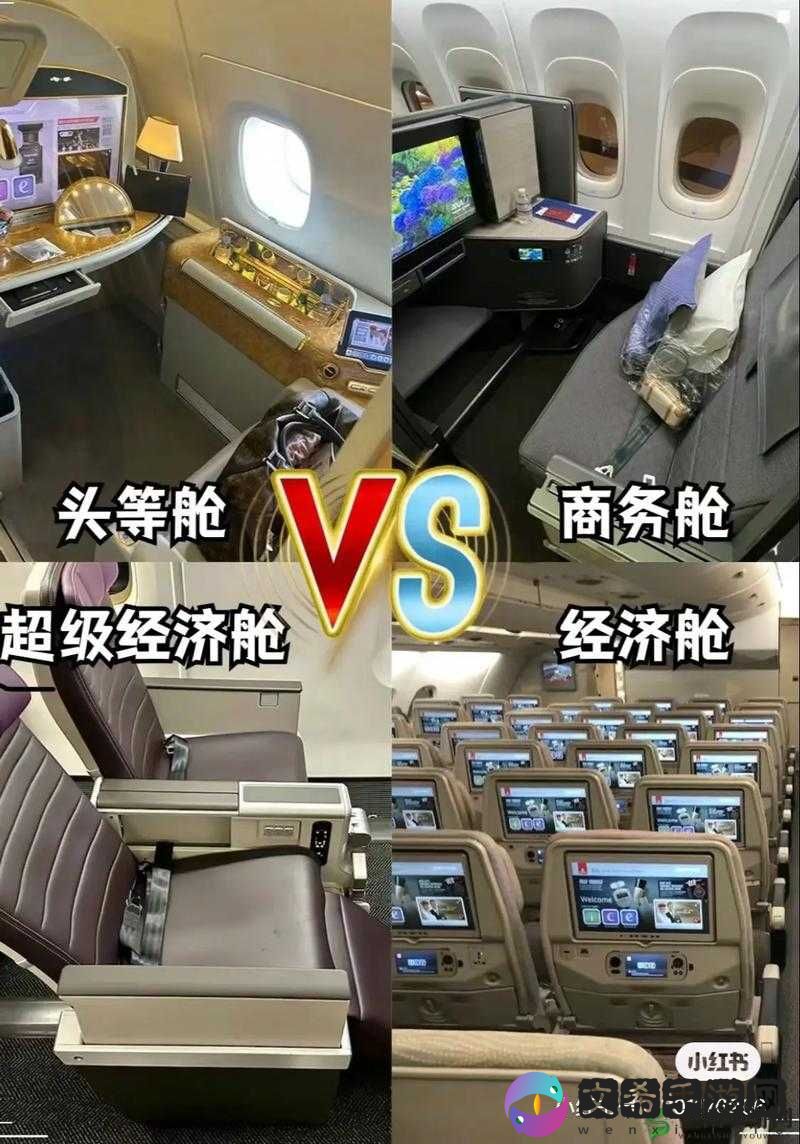 头等舱特殊待遇 2:详细解析