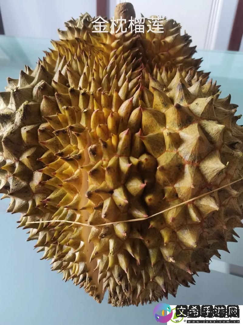 榴莲视频污视频在线观看视频