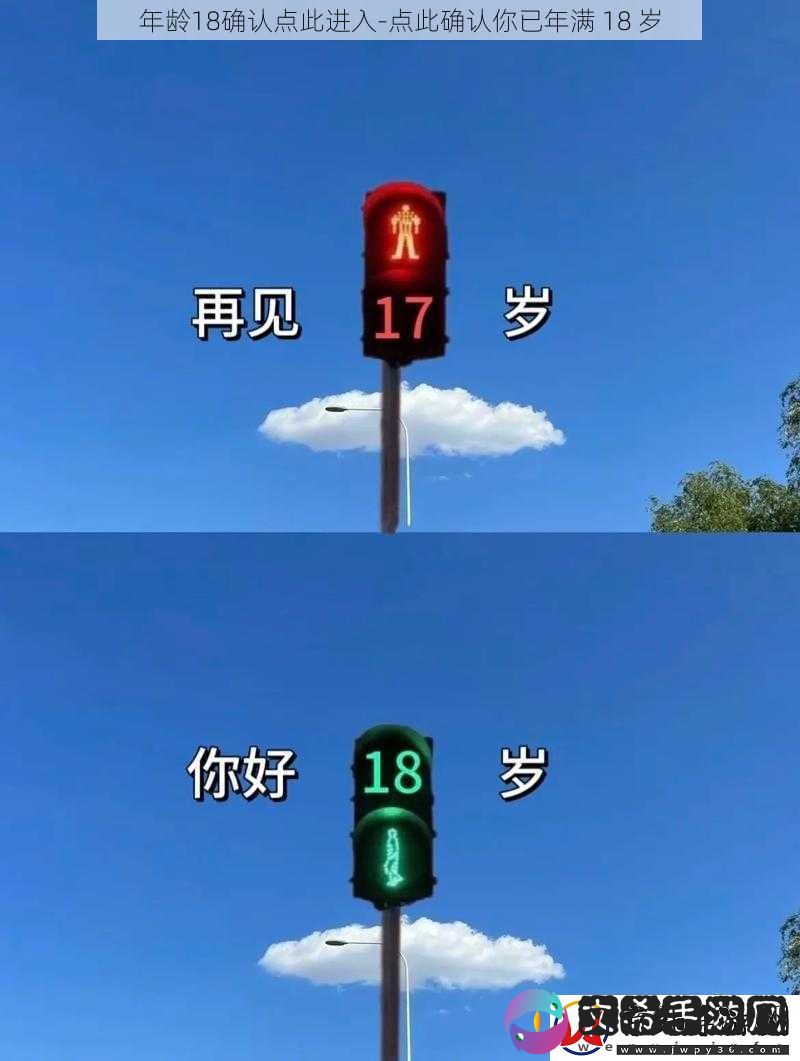 年龄18确认点此进入
