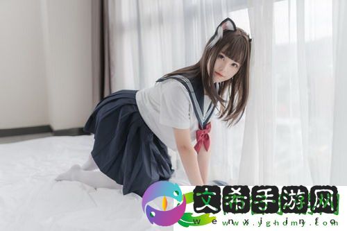 三十六式实战演练视频友