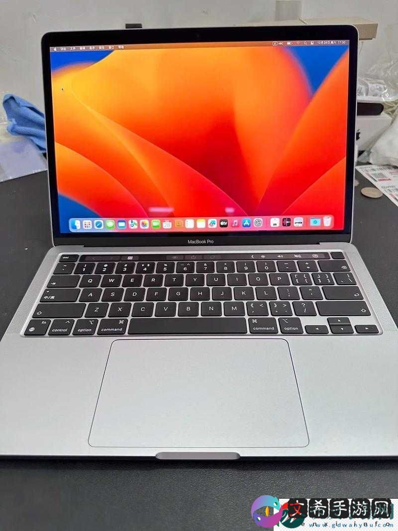 十九岁 MacBook Pro 高清完整版：体验极致性能