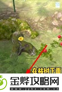 夺笋高手彩蛋攻略