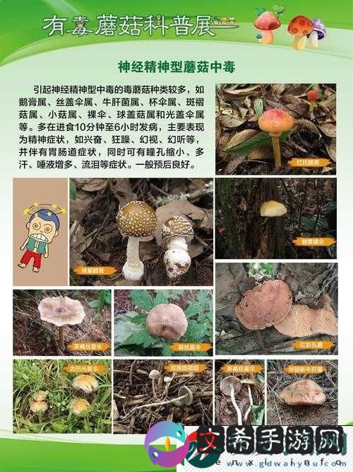 7x7x7x7x 任意槽蘑菇：神奇的存在
