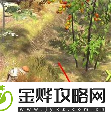 夺笋高手彩蛋攻略