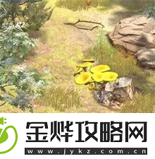 夺笋高手彩蛋攻略