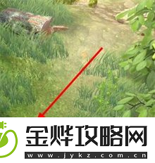 夺笋高手彩蛋攻略