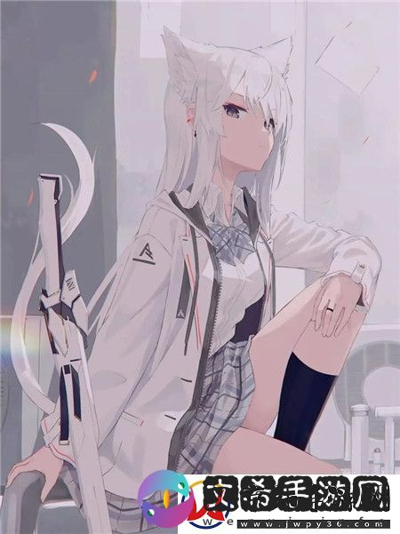 无人区域一区二区究竟有何不同：探索科技与环境的交汇点