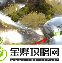 夺笋高手彩蛋攻略