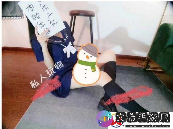 私人玩物在线视频免费观看：畅享极致视觉盛宴
