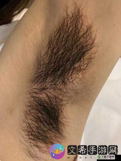 中国妇女裸体毛毛多：性与美之间的争议