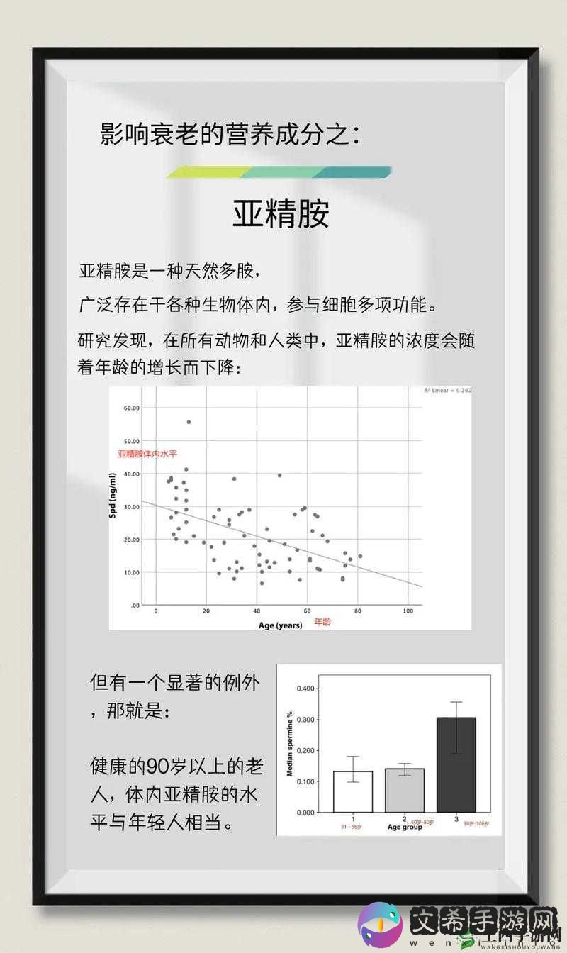 亚精区在二线三线区别 99:深度解析与探讨