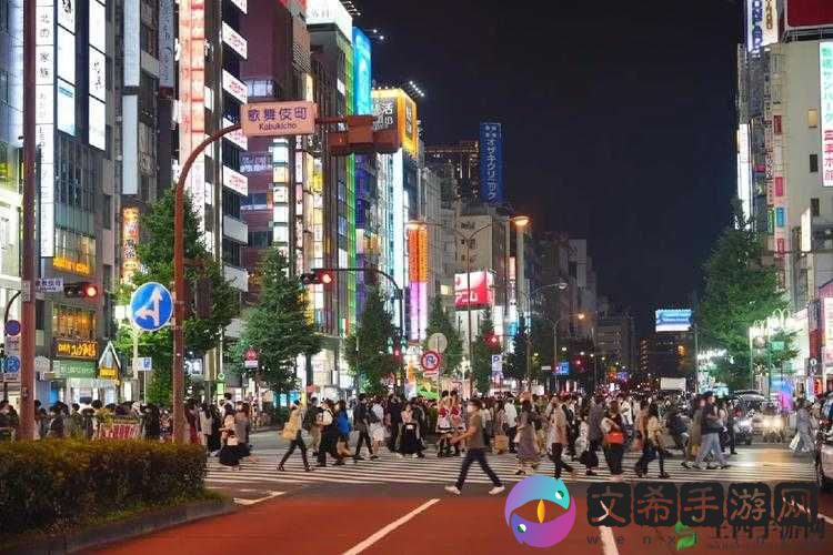 xxxxx18 日本人 hdxx:探究日化的多样性
