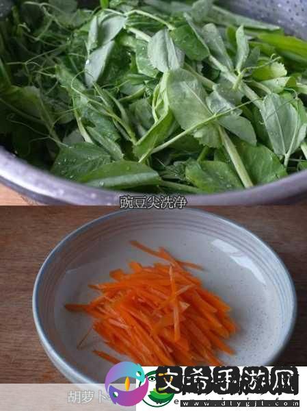 女的用胡萝卜用大头还是小头