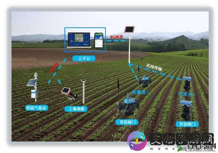 JING 液灌溉系统高效利用新探索