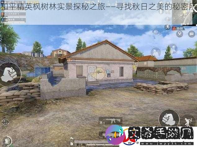 和平精英枫树林实景探秘之旅——寻找秋日之美的秘密所在