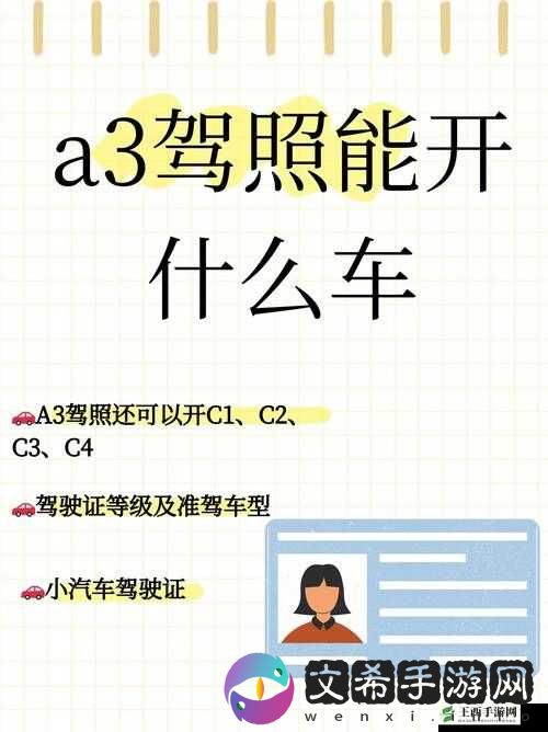 国产 A1a2a317c 最新使用攻略:实用技巧分享