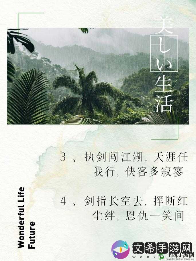 烟雨江湖：剑影江湖路，秘籍何处寻