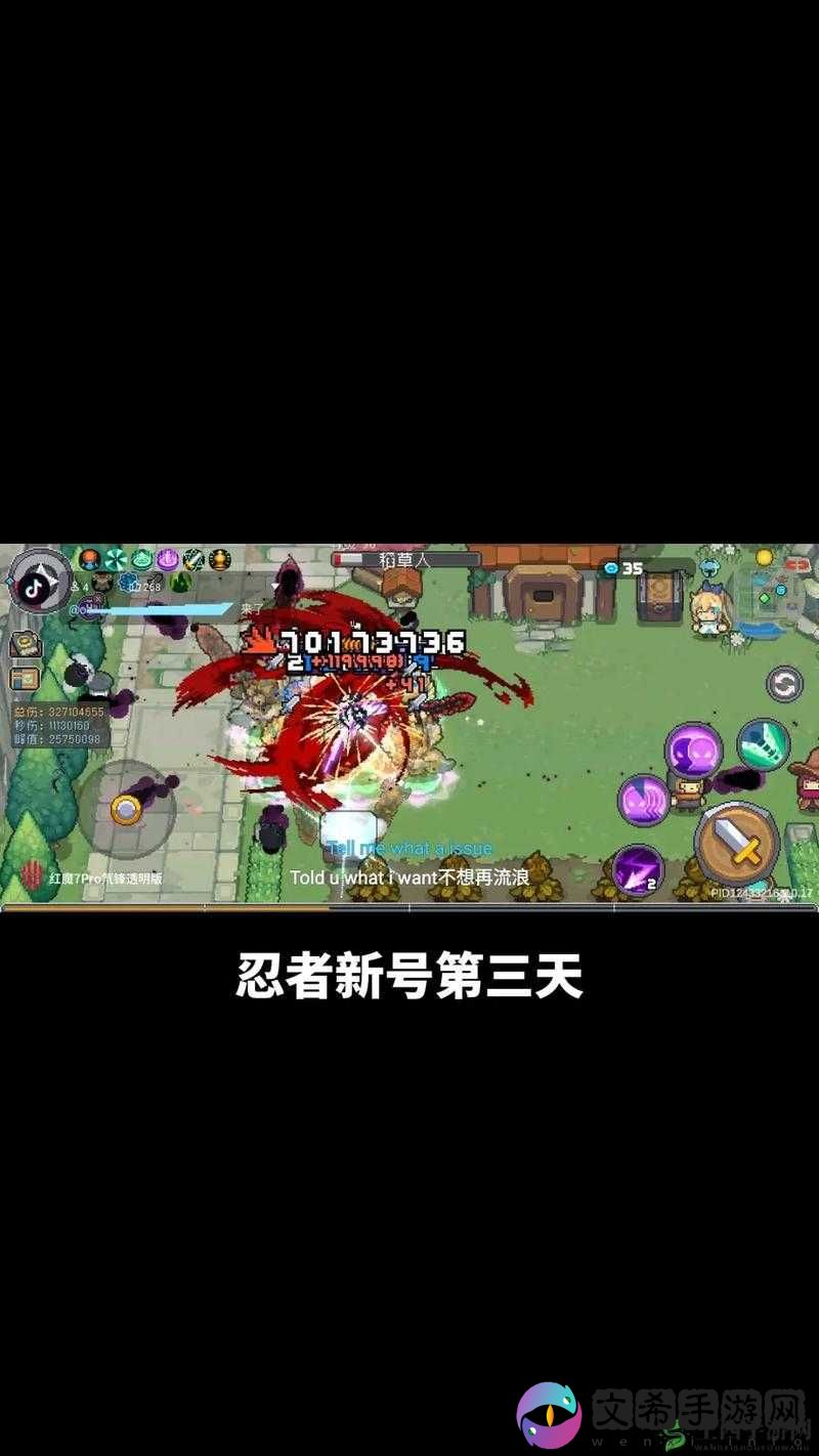 元气骑士双宠同行:攻略与技巧