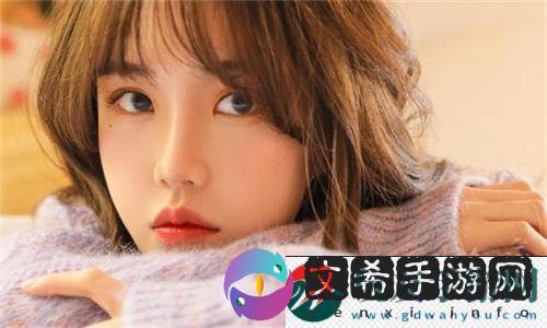 韩国理论大全：探索韩国文化与社会影响的精深研究-粉丝：为更好理解韩国而努力！！