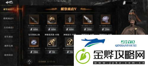 魂之刃2献祭与救赎有什么用