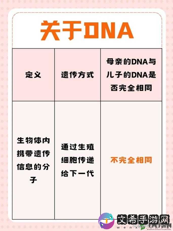 母亲与儿子 DNA 究竟是否一样