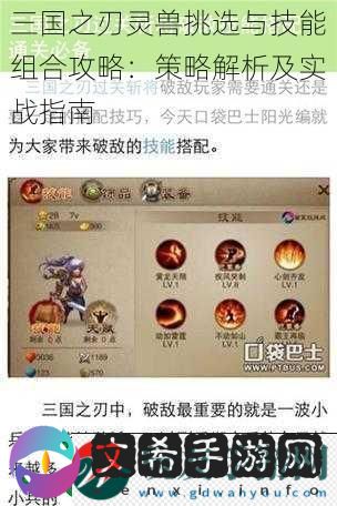 三国之刃灵兽挑选与技能组合攻略：策略解析及实战指南