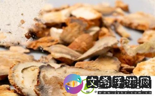 哪吒2申公豹“代购药单”火了