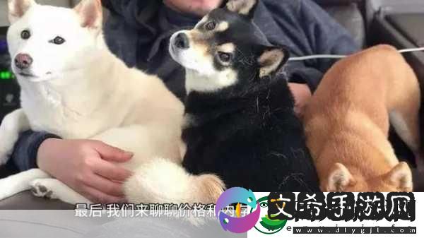 揭秘!iphone14欧美日韩版本：揭开iPhone-14欧美日韩版本的神秘面纱-深度解析其区别与优势！