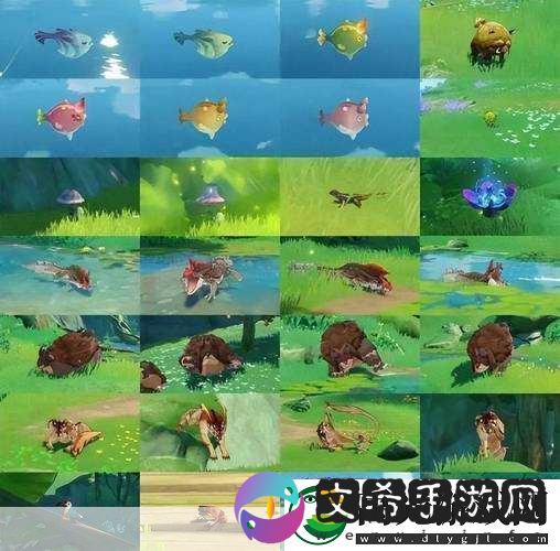 原神深林的记忆核心角色深度解析