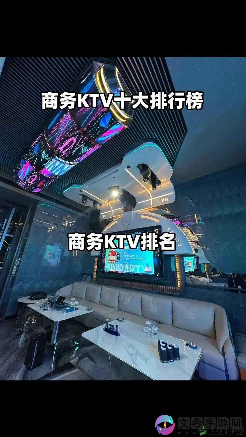porono 中国 videoktv 精彩内容大揭秘