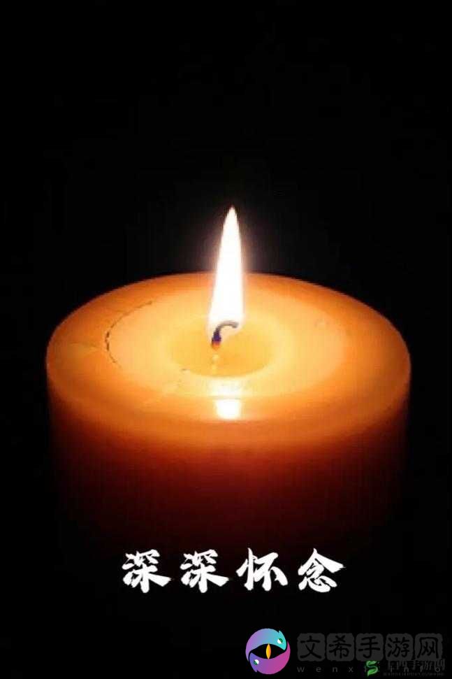 1024AV 天堂：成人影视爱好者的天堂