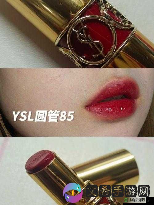 ysl 口红水蜜桃色号 851 免 VIP 了：以友为中心