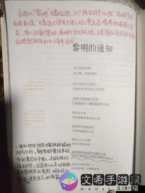 W 无区码一码二码三码:探索未知的密码世界