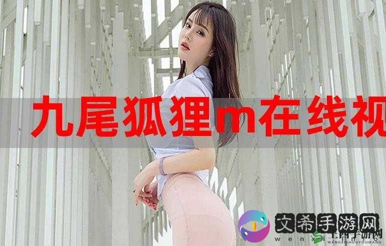 菠萝蜜视频网站：畅享精彩视频资源