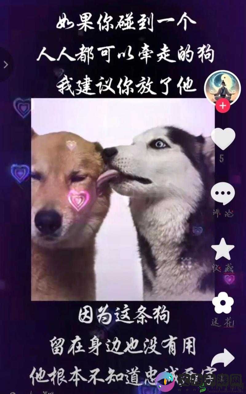 不知深浅 by 简易气囊：探索情感世界的故事