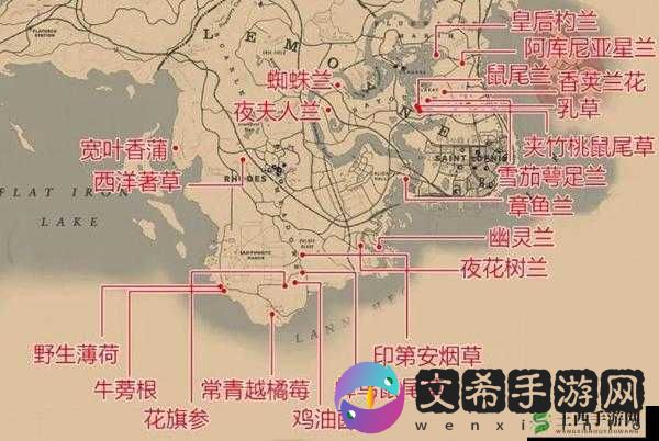荒野大镖客2自动刷钱攻略:按键精灵配置指南与赚钱技巧分享