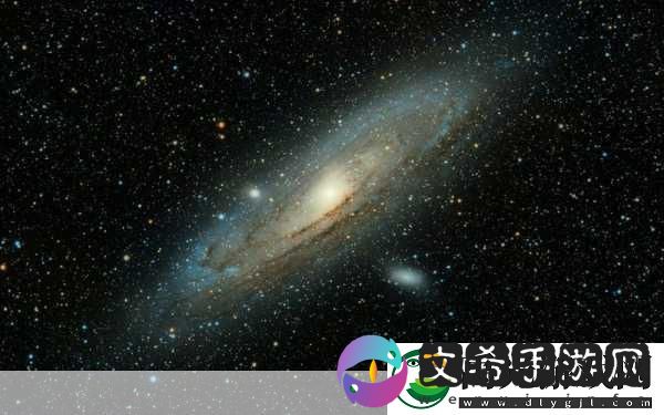 星辰视频免费高清在线观看