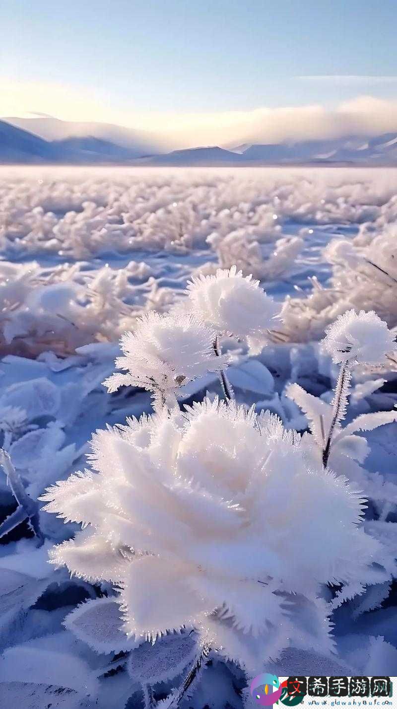 黑土：娴熟腿脚法，给你好看
