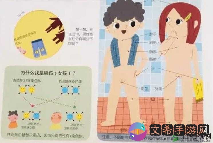 公交车激情做爰 H:一场无法忽视的社会现象