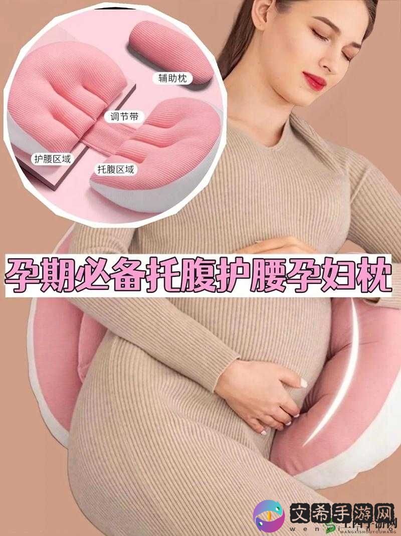 wheeltpe 孕妇轮:孕期必备好物