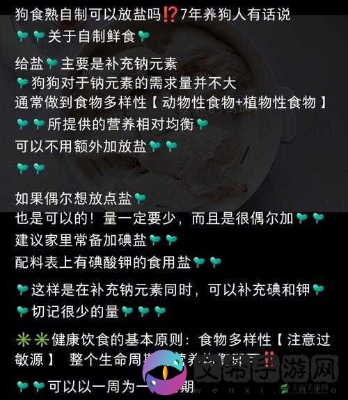 人狗胶配方大全：狗狗一天的营养搭配