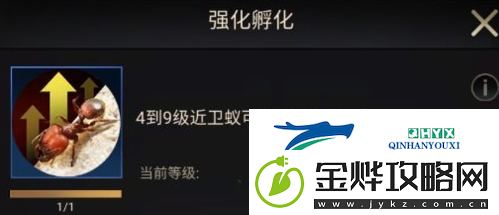 小小蚁国中期进化怎么选